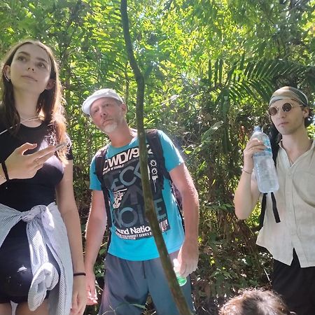 Brown Bamboo Guest House & Trekking 부킷 라왕 외부 사진